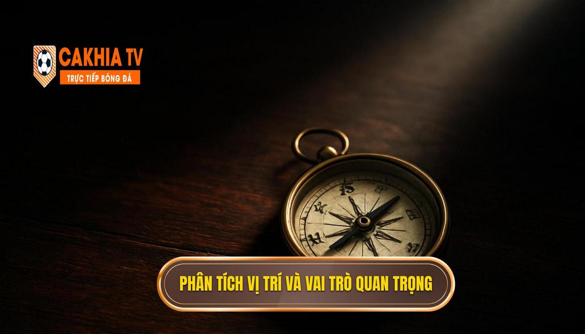 Phân tích vị trí và Vai trò chủ chốt