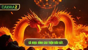Trận này đúng nghĩa “cực gắt”: Phân tích chuyên sâu từ CÀ KHỊA